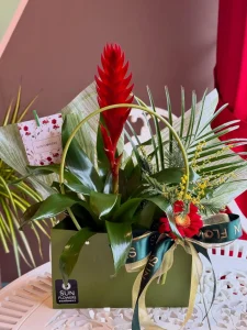 Yeşil kare çanta içerisinde sunulan kırmızı guzmanya bitkisi yeşil yapraklar kırmızı gerbera ve yeşil kurdele detayları içermektedir.