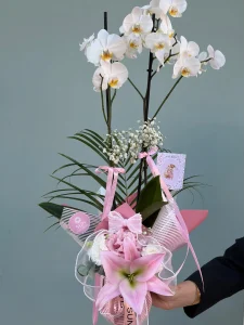 Toz pembe kağıt ambalajla süslenmiş çift dallı beyaz orkide ve pembe lilyum saksı seti