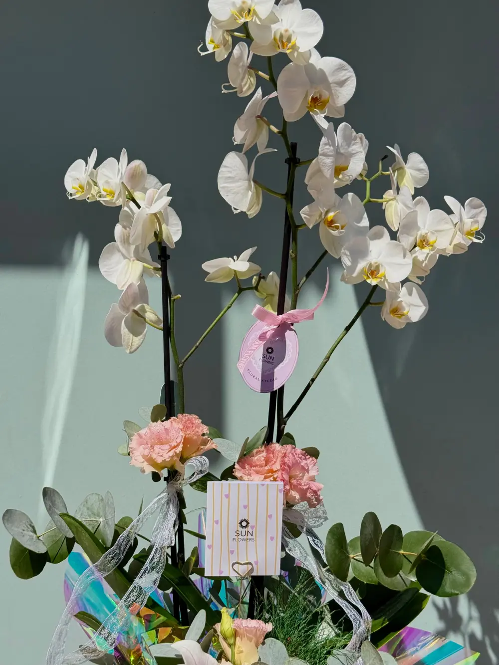 Holografik ambalaj ve somon karanfillerle süslenmiş çift dallı beyaz phalaenopsis saksı orkidesi - Görsel 2