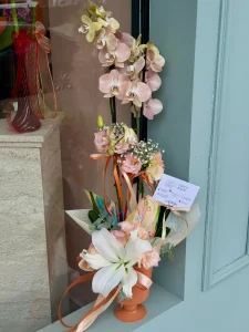 Kiremit rengi ayaklı saksıda somon renkli çift dallı phalaenopsis orkide ve dip çiçek süslemesi